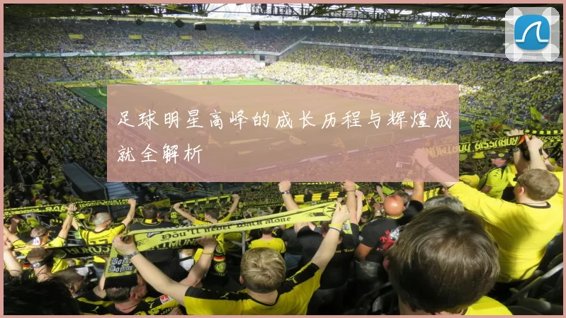 足球明星高峰的成长历程与辉煌成就全解析