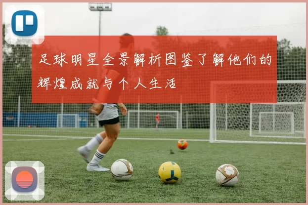 足球明星全景解析图鉴了解他们的辉煌成就与个人生活