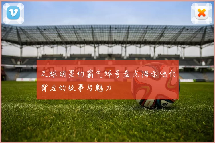 足球明星的霸气绰号盘点揭示他们背后的故事与魅力