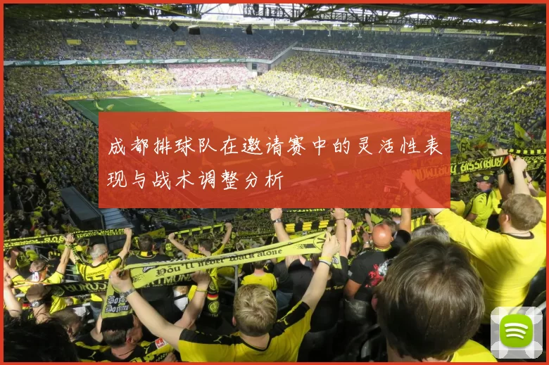 成都排球队在邀请赛中的灵活性表现与战术调整分析